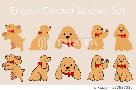 シンプルで可愛いイングリッシュコッカースパニエルのイラストセット（赤いリボン）　主線あり・なし 137657059