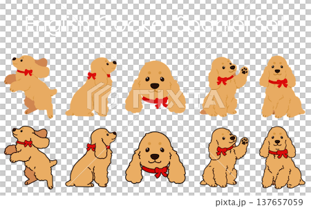 シンプルで可愛いイングリッシュコッカースパニエルのイラストセット（赤いリボン）　主線あり・なし 137657059