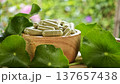 Herbal capsules containing Centella asiatica powder in a wooden bowl. A natural dietary supplement. 137657438