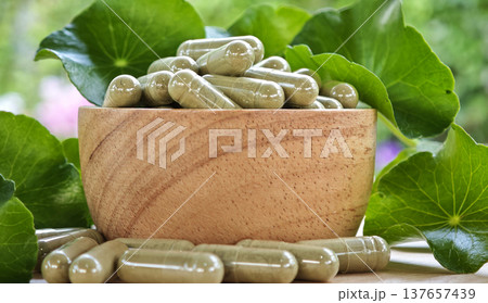 Herbal capsules containing Centella asiatica powder in a wooden bowl. A natural dietary supplement. Herbal capsules containing Centella asiatica powder in a wooden bowl. A natural dietary supplement. 137657439