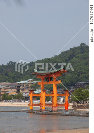 厳島神社の大鳥居 厳島神社の大鳥居 137657441