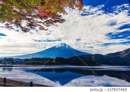 【山梨県_富士山_河口湖】秋の河口湖と富士山 11月 【山梨県_富士山_河口湖】秋の河口湖と富士山 11月 137657469