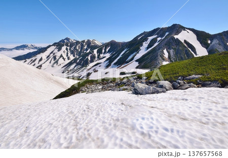 春の立山連峰バックカントリー 春の立山連峰バックカントリー 137657568