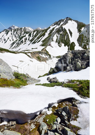 春の立山連峰バックカントリー 137657575