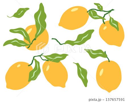 Summer lemons vector illustration set. Fresh yellow citrus fruits, green leaves, branches isolated on white background for food and Italian inspired design in simple, playful and whimsical flat style Summer lemons vector illustration set. Fresh yellow citrus fruits, green leaves, branches isolated on white background for food and Italian inspired design in simple, playful and whimsical flat style 137657591