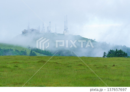 長野県 美ヶ原高原の草原と夏の雲 日本百名山の高原風景 137657697