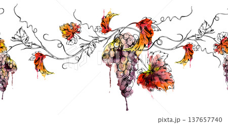 Seamless banner botanical illustration of grape clusters hanging on vines, leaves and tendrils. Hand drawn in watercolor and ink for culinary design, fruit labels, menus, premium market blog headers Seamless banner botanical illustration of grape clusters hanging on vines, leaves and tendrils. Hand drawn in watercolor and ink for culinary design, fruit labels, menus, premium market blog headers 137657740