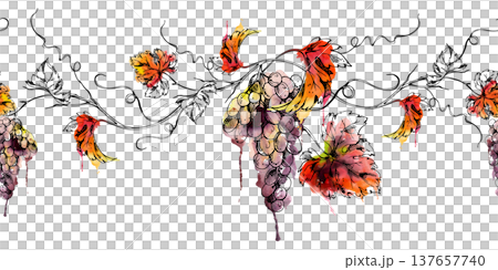 Seamless banner botanical illustration of grape clusters hanging on vines, leaves and tendrils. Hand drawn in watercolor and ink for culinary design, fruit labels, menus, premium market blog headers Seamless banner botanical illustration of grape clusters hanging on vines, leaves and tendrils. Hand drawn in watercolor and ink for culinary design, fruit labels, menus, premium market blog headers 137657740