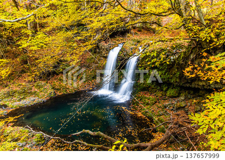 【山梨県_富士吉田市】秋色に包まれた、鐘山の滝と桂川 11月 137657999