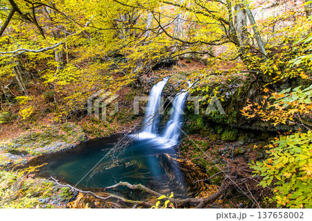 【山梨県_富士吉田市】秋色に包まれた、鐘山の滝と桂川 11月 【山梨県_富士吉田市】秋色に包まれた、鐘山の滝と桂川 11月 137658002