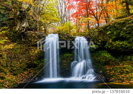 【山梨県_富士吉田市】秋色に包まれた、鐘山の滝と桂川 11月 137658010