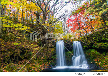 【山梨県_富士吉田市】秋色に包まれた、鐘山の滝と桂川 11月 137658013