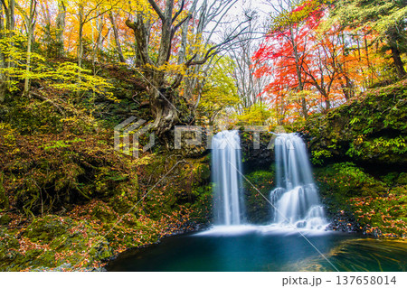 【山梨県_富士吉田市】秋色に包まれた、鐘山の滝と桂川 11月 【山梨県_富士吉田市】秋色に包まれた、鐘山の滝と桂川 11月 137658014