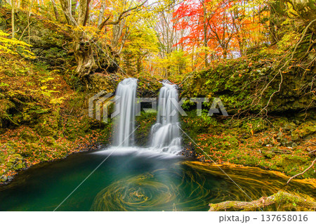 【山梨県_富士吉田市】秋色に包まれた、鐘山の滝と桂川 11月 137658016