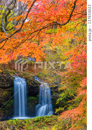 【山梨県_富士吉田市】秋色に包まれた、鐘山の滝と桂川 11月 137658023
