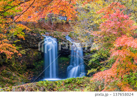 【山梨県_富士吉田市】秋色に包まれた、鐘山の滝と桂川 11月 137658024