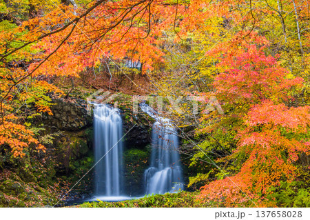 【山梨県_富士吉田市】秋色に包まれた、鐘山の滝と桂川 11月 【山梨県_富士吉田市】秋色に包まれた、鐘山の滝と桂川 11月 137658028