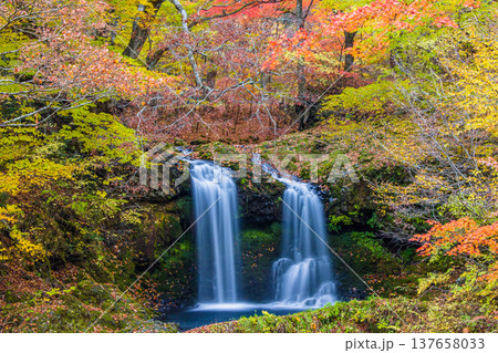 【山梨県_富士吉田市】秋色に包まれた、鐘山の滝と桂川 11月 【山梨県_富士吉田市】秋色に包まれた、鐘山の滝と桂川 11月 137658033