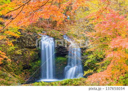 【山梨県_富士吉田市】秋色に包まれた、鐘山の滝と桂川 11月 137658034
