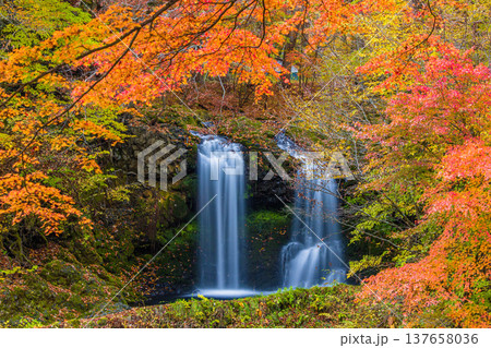 【山梨県_富士吉田市】秋色に包まれた、鐘山の滝と桂川 11月 137658036