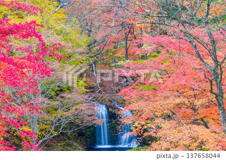 【山梨県_富士吉田市】秋色に包まれた、鐘山の滝と桂川 11月 【山梨県_富士吉田市】秋色に包まれた、鐘山の滝と桂川 11月 137658044