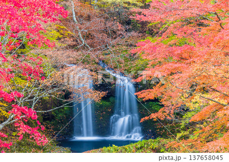 【山梨県_富士吉田市】秋色に包まれた、鐘山の滝と桂川 11月 【山梨県_富士吉田市】秋色に包まれた、鐘山の滝と桂川 11月 137658045