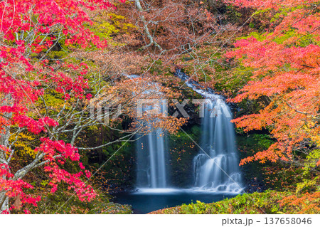 【山梨県_富士吉田市】秋色に包まれた、鐘山の滝と桂川 11月 137658046