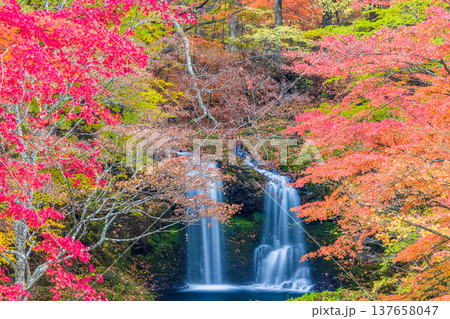 【山梨県_富士吉田市】秋色に包まれた、鐘山の滝と桂川 11月 137658047