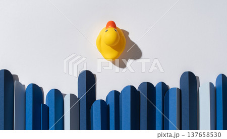 Yellow rubber duck on a blue wooden fence with a simple design in a top-down view during daytime Yellow rubber duck on a blue wooden fence with a simple design in a top-down view during daytime 137658530