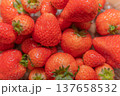 背景に使える沢山のいちご 137658532