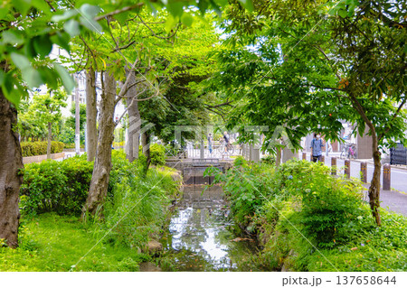 亀有駅周辺 137658644