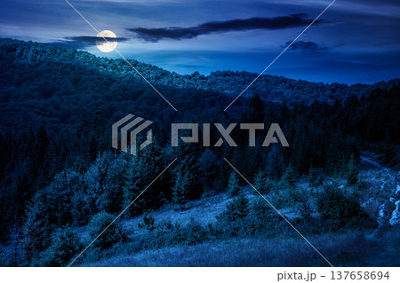 coniferous forest on a steep hillside meadow in summer at night. mountain landscape in full moon light. beautiful nature scenery. mysterious green environment open vista with fir trees near pasture coniferous forest on a steep hillside meadow in summer at night. mountain landscape in full moon light. beautiful nature scenery. mysterious green environment open vista with fir trees near pasture 137658694