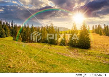 sunset over mountain scenery with coniferous forest. countryside landscape with grassy fields and rolling hills. springtime rural area under cloudy sky and rainbow. wonderful outdoor adventure 137658701