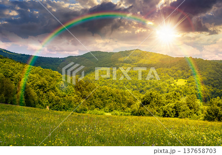 sunset over grassy fields with blooming flower herbs in mountain scenery. beautiful summer landscape of with forested hills under sky with clouds. alpine countryside picture under the rainbow sunset over grassy fields with blooming flower herbs in mountain scenery. beautiful summer landscape of with forested hills under sky with clouds. alpine countryside picture under the rainbow 137658703