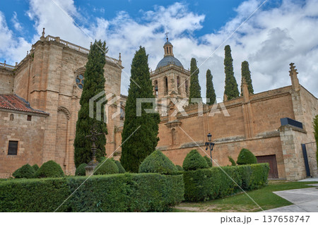Detailed view of the Romanesque tower of Ciudad Rodrigo Cathedral in Salamanca, with a cloudy sky and green trees in the foreground Detailed view of the Romanesque tower of Ciudad Rodrigo Cathedral in Salamanca, with a cloudy sky and green trees in the foreground 137658747