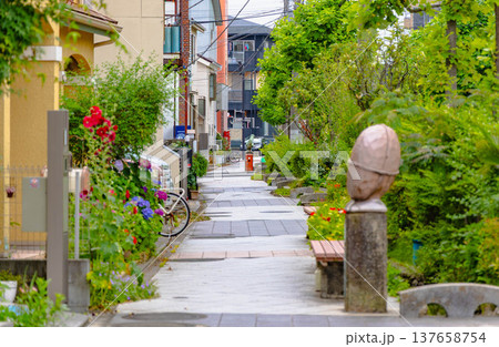 亀有駅周辺 亀有駅周辺 137658754