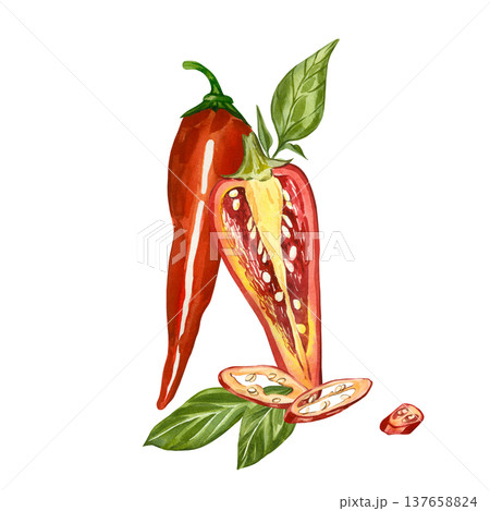 Red chili pepper, half a pepper with seeds, leaves, and cloves. All hand-painted in watercolor. Perfect for culinary design, menu design, and as a label template for organic products. 137658824
