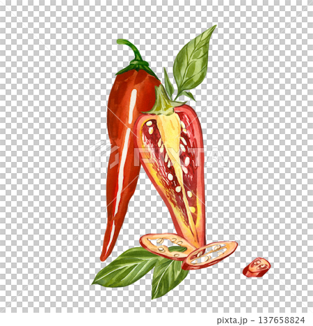 Red chili pepper, half a pepper with seeds, leaves, and cloves. All hand-painted in watercolor. Perfect for culinary design, menu design, and as a label template for organic products. 137658824
