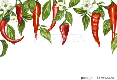 A watercolor banner with peppers, hanging chili pods, jalapenos, cayenne peppers, green leaves, and flowers. All hand-painted in watercolor. Ideal for kitchen decor, culinary menus, and food design. A watercolor banner with peppers, hanging chili pods, jalapenos, cayenne peppers, green leaves, and flowers. All hand-painted in watercolor. Ideal for kitchen decor, culinary menus, and food design. 137658828