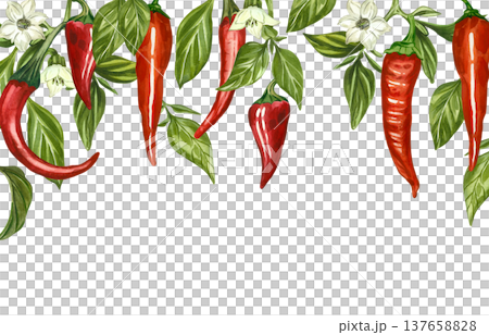 A watercolor banner with peppers, hanging chili pods, jalapenos, cayenne peppers, green leaves, and flowers. All hand-painted in watercolor. Ideal for kitchen decor, culinary menus, and food design. A watercolor banner with peppers, hanging chili pods, jalapenos, cayenne peppers, green leaves, and flowers. All hand-painted in watercolor. Ideal for kitchen decor, culinary menus, and food design. 137658828