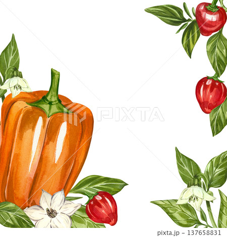 A watercolor frame featuring bell peppers, gogoshar peppers, leaves, and flowers. All hand-painted in watercolor. An organic kitchen design element for menus, invitations, and food packaging. A watercolor frame featuring bell peppers, gogoshar peppers, leaves, and flowers. All hand-painted in watercolor. An organic kitchen design element for menus, invitations, and food packaging. 137658831