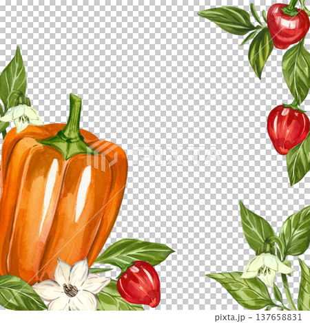 A watercolor frame featuring bell peppers, gogoshar peppers, leaves, and flowers. All hand-painted in watercolor. An organic kitchen design element for menus, invitations, and food packaging. A watercolor frame featuring bell peppers, gogoshar peppers, leaves, and flowers. All hand-painted in watercolor. An organic kitchen design element for menus, invitations, and food packaging. 137658831