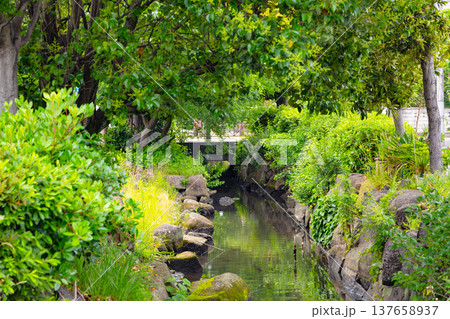 亀有駅周辺 137658937