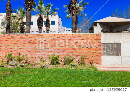 アメリカ　UCLA（カリフォルニア大学ロサンゼルス校） 137659087