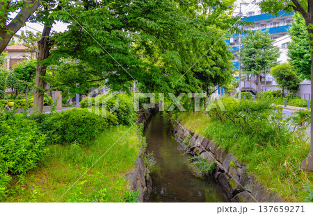 亀有駅周辺 137659271