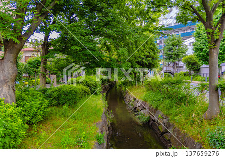 亀有駅周辺 137659276