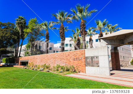 アメリカ　UCLA（カリフォルニア大学ロサンゼルス校） 137659328