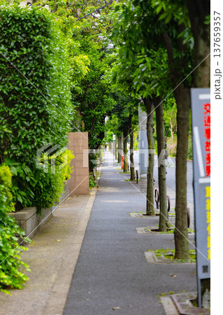 亀有駅周辺 亀有駅周辺 137659357
