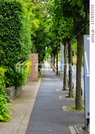 亀有駅周辺 137659358