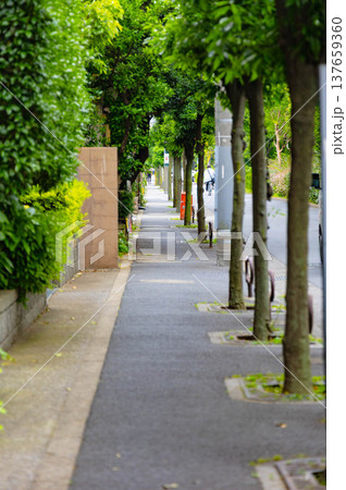 亀有駅周辺 137659360